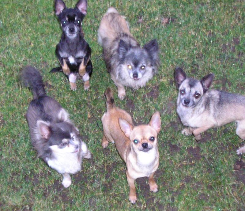 Foto: Tak copak n�m hod�, pani�ko ?