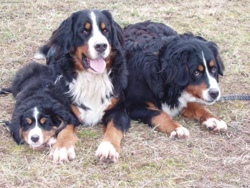 Foto: Fabio,Lusy a Eli�ka