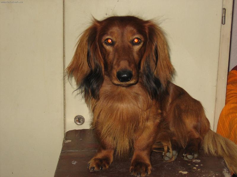 Foto: Britt-Mal� and�l s ��blem v t�le!!