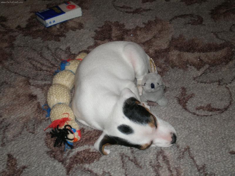 Foto: Je�t� Agnes ale tentokr�t jako and�lek