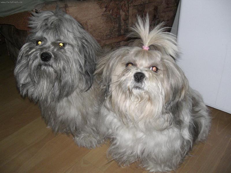 Foto: Sindynka a Lump�k:-)