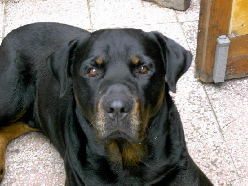 Foto: Respekt-\"..chce� natrhnout gat�..??\" :D