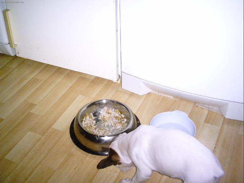 Foto: Kai�a Bretorri-Kai�ita ve�e�� po sp�nku=)