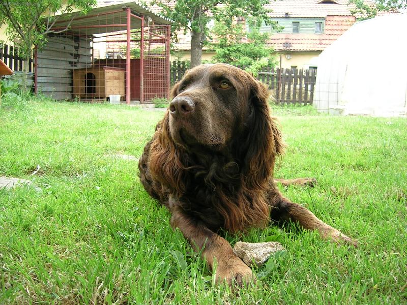 Foto: Pedro z Javorov�ho vrchu