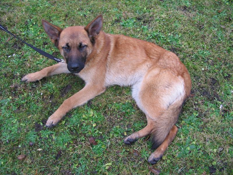 Foto: Cherry-Mno nen� hezk�??:)