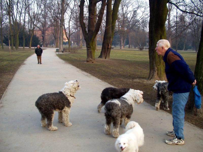 Foto: Na�e bambulky-Ad�lka, Am�lka, Cecilka a Belinka