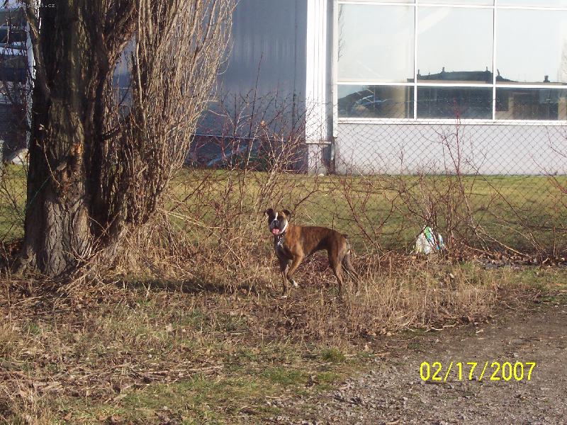 Foto: hled�m novej klacek a nic...