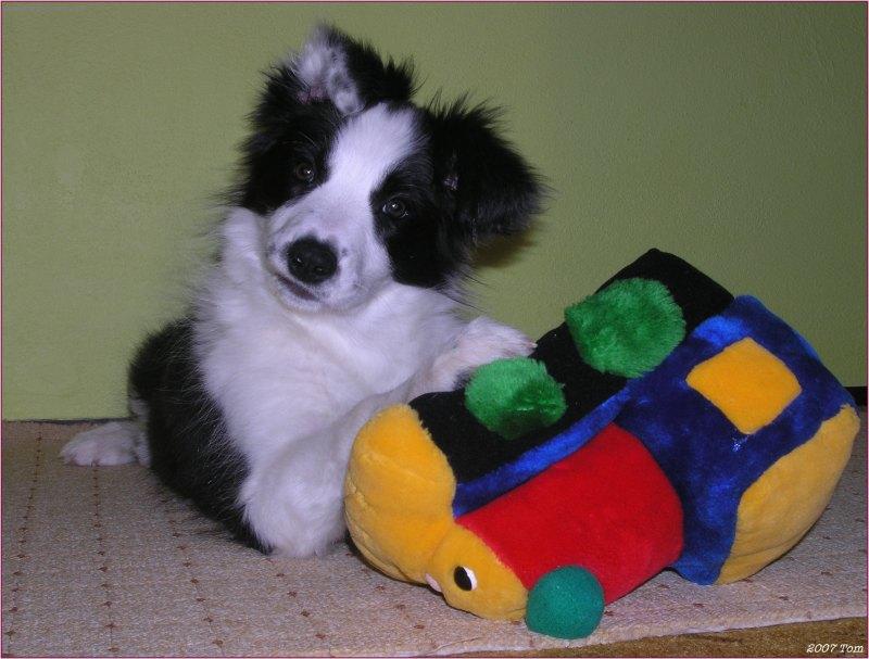 Foto: Atrixi07-02-15-3 m�s��n� �t���tko