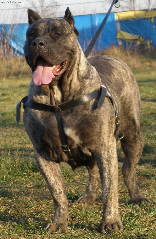 Foto: WIKA KWINTYLION