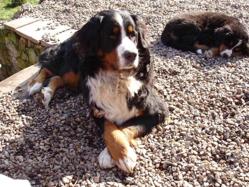 Foto: Lusy-na�e d�ma-pr�v� usnul...