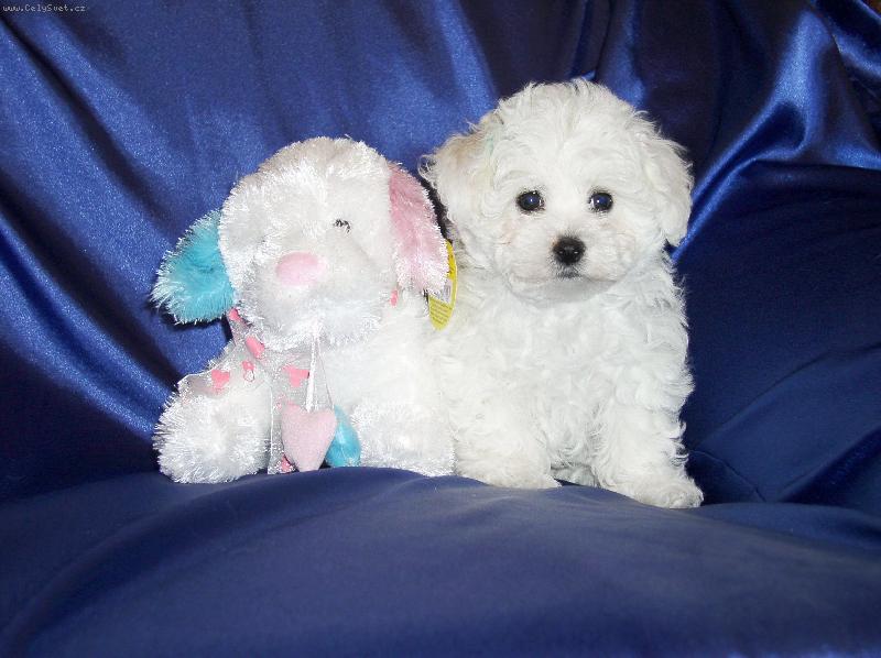 Foto: Hexa a ply��k-Hexa Panorama Beskyd