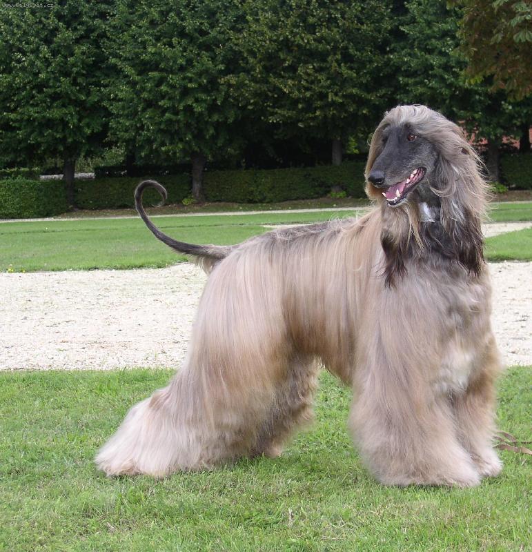 Foto: afg�nek Justin Gandamak-Justin T. Gandamak-www.justint.wz.cz