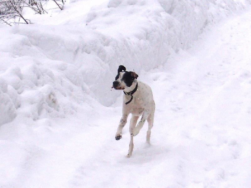 Foto: Benjamine na hor�ch-v�let do Krkono�