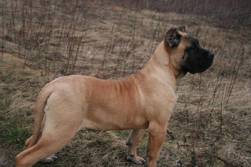 Foto: GUAPPA Guanchos