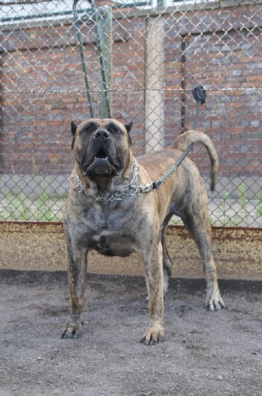 Foto: BICHO Xanti Land