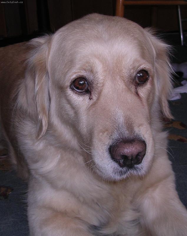 Foto: Kesi-Smutn� =o(