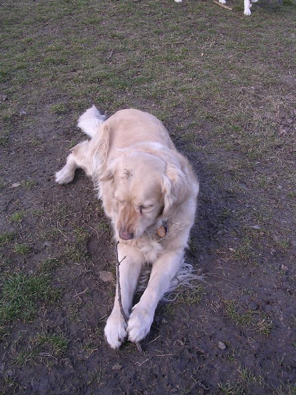 Foto: Kesi-a budem hryzat v�tvi�ku a budem =)