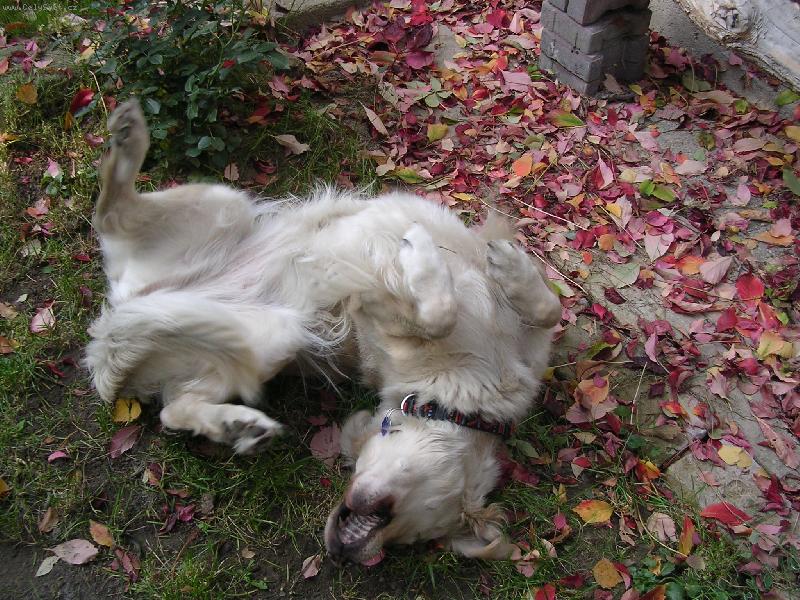 Foto: Kesi, kdo jin�, �e?-po��dn� se vyv�l�me =o)