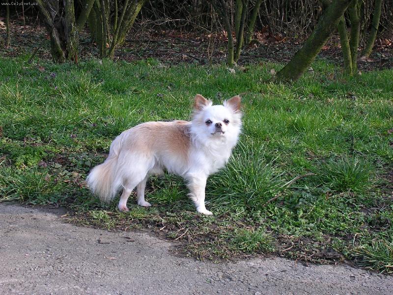 Foto: na proch�zce