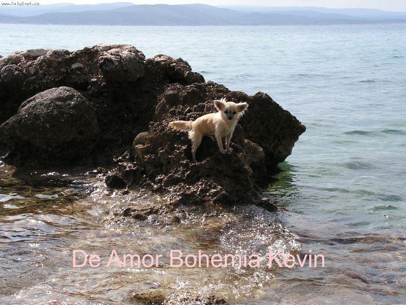 Foto: ,,Jako Robinson\"-Dorinky prvn� dovolen� u mo�e-z��� 2005