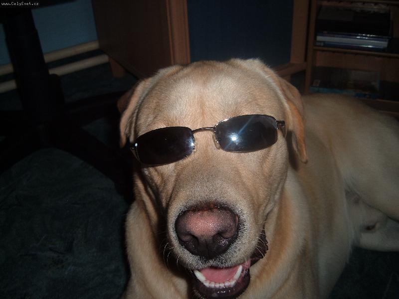 Foto: Amigo Filip z Hro�ky-V br�l�ch