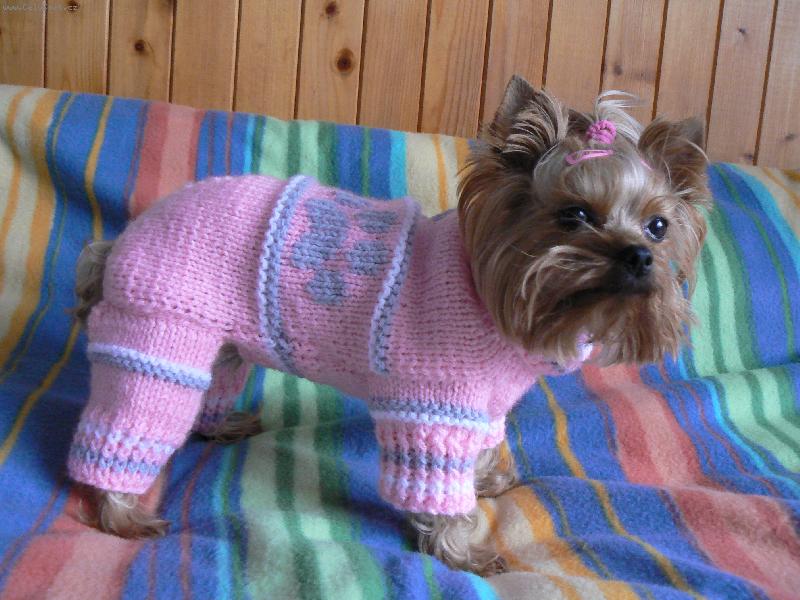 Foto: Ad�lka-Ad�lka ve svet��ku od �ikovn� Hani�ky,Hani d�kujeme je�t� jednou