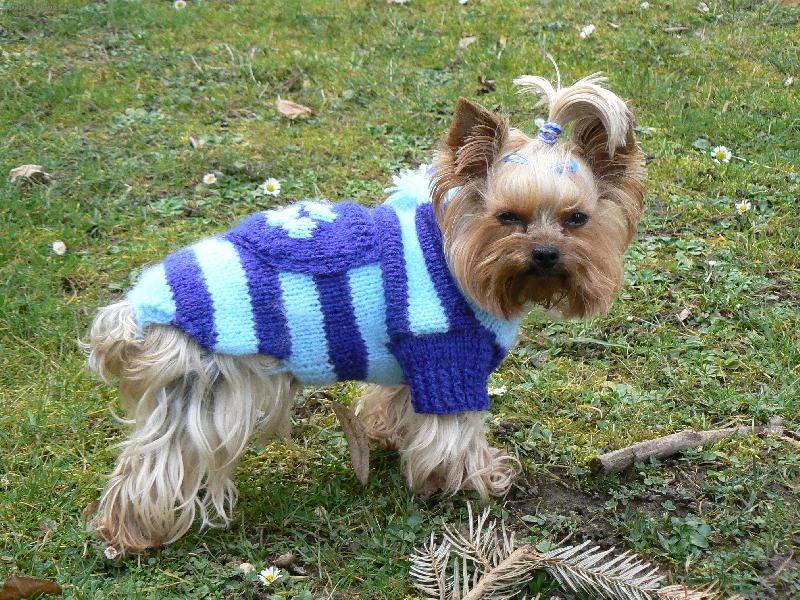 Foto: Ad�lka-druh� svet��k od Hani�ky