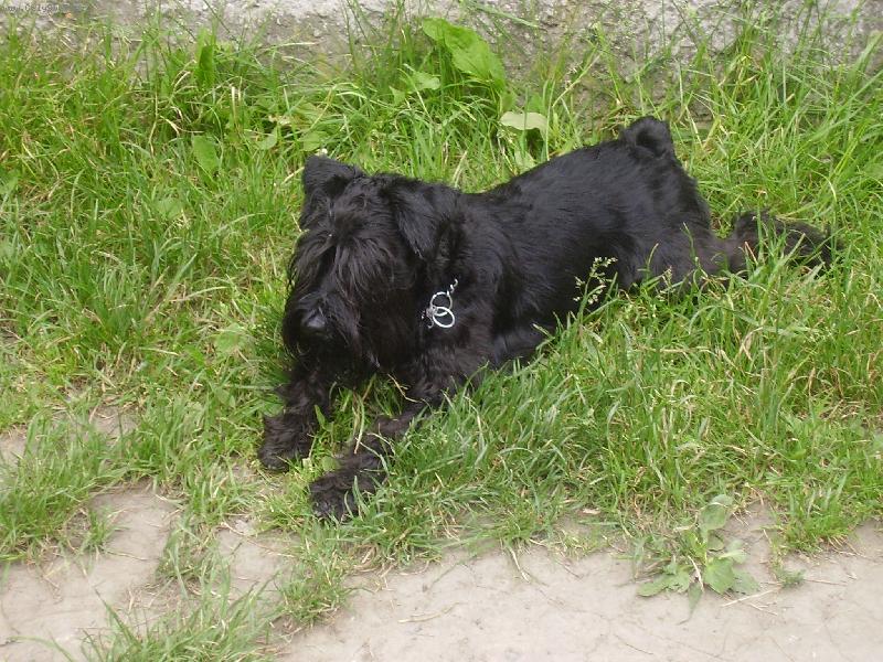 Foto: Quendoline Androis-Pozoruji ze z�lohy..........