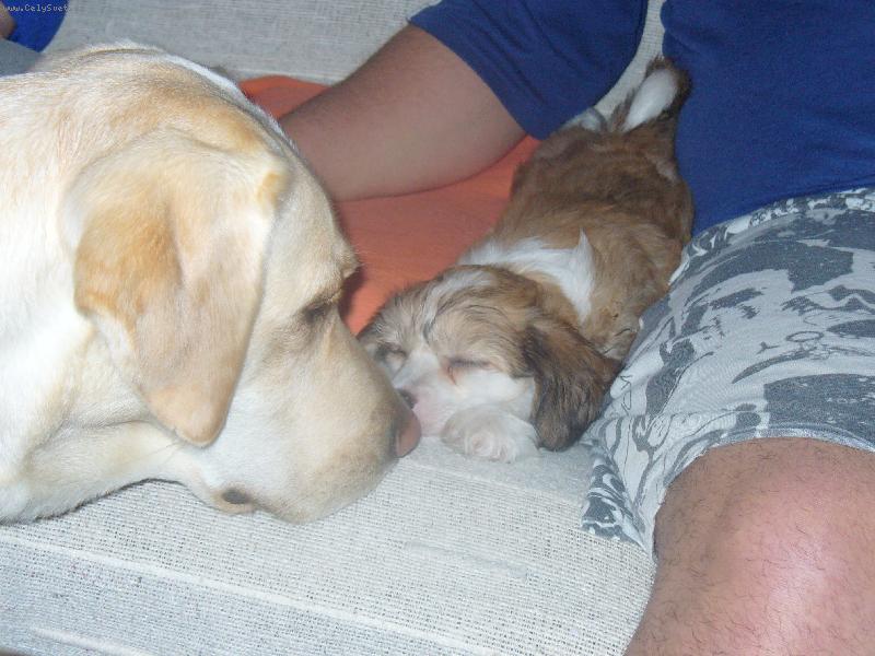 Foto: Meggie a miminko ����nka Max