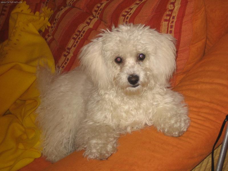 Foto: Keysi na�e zlat��ko- 6 m�s�c�