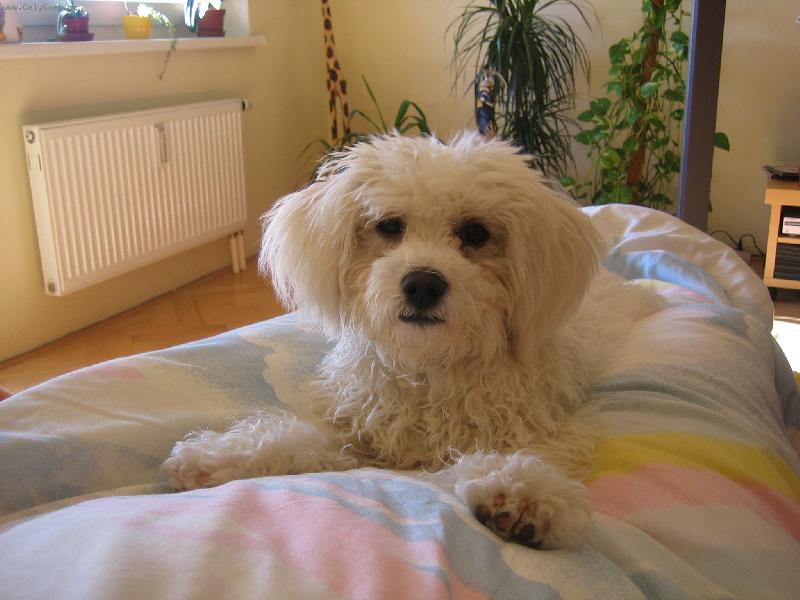 Foto: Keysi na�e zlat��ko- 6 m�s�c�