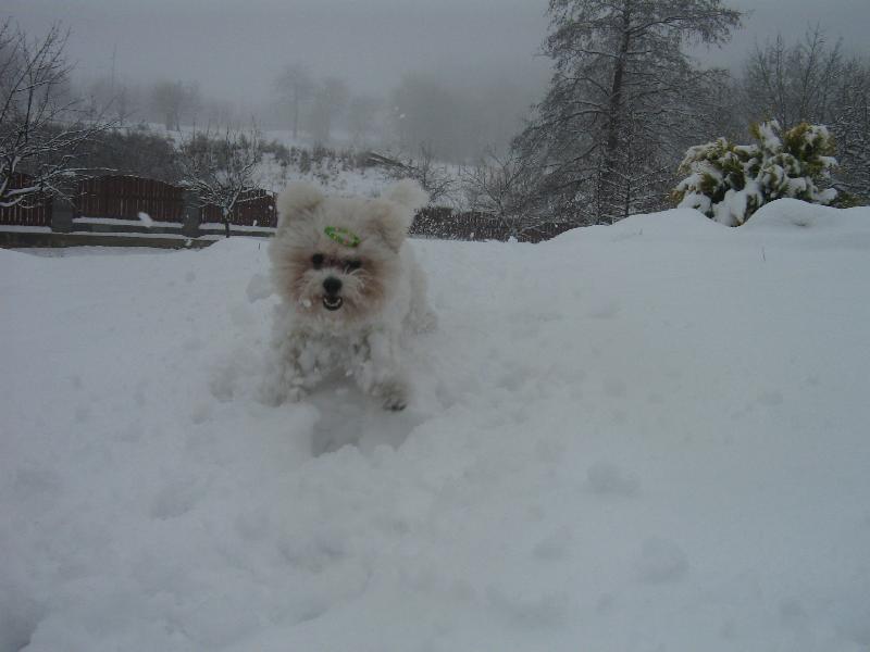 Foto: Hur����������!!!!!!Sn���h!!-Shereenka ��d�