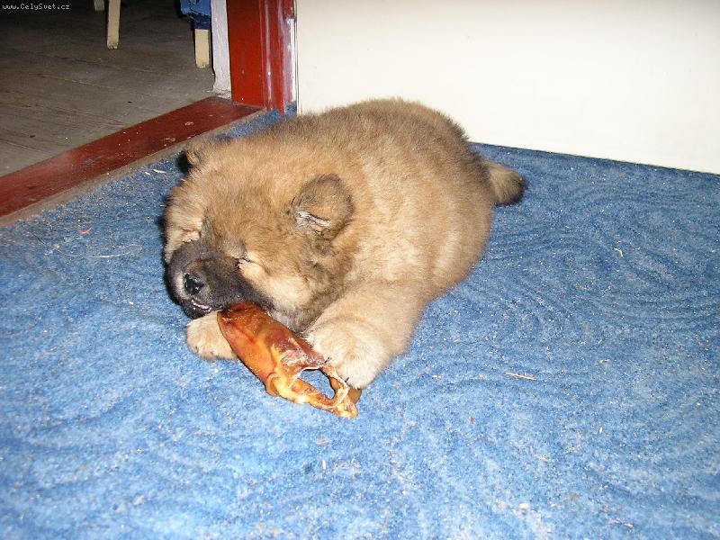 Foto: Nelinka-pane�ku,to je dobrota