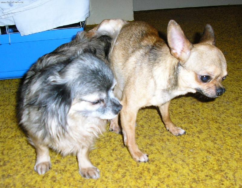 Foto: J� si u�iju a ty se m�mo starej !!!