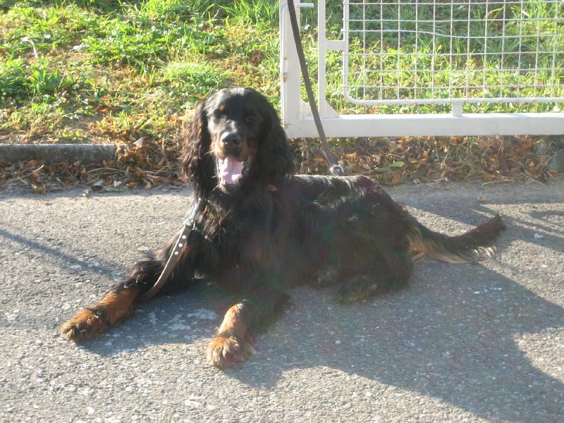 Foto: Tony-j� nejsem nervozn� ze zkou�ek jako ty