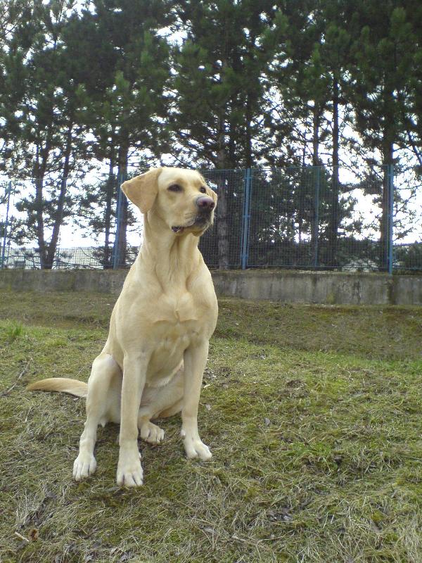 Foto: Na v�b�hu Bystrcu-d�v�se kam se rozb�hne