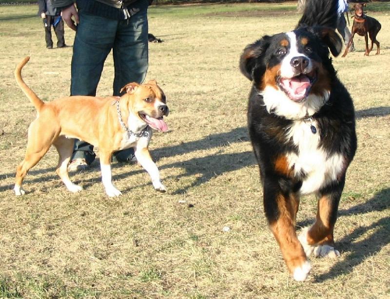 Foto: Ro���k-L�b� se v�m m�j �sm�v?