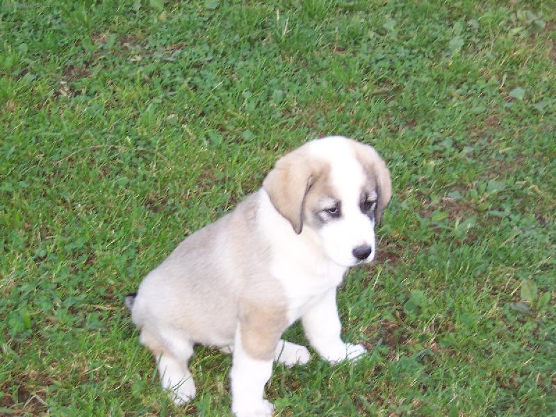 Foto: Azija Medzhal Ala