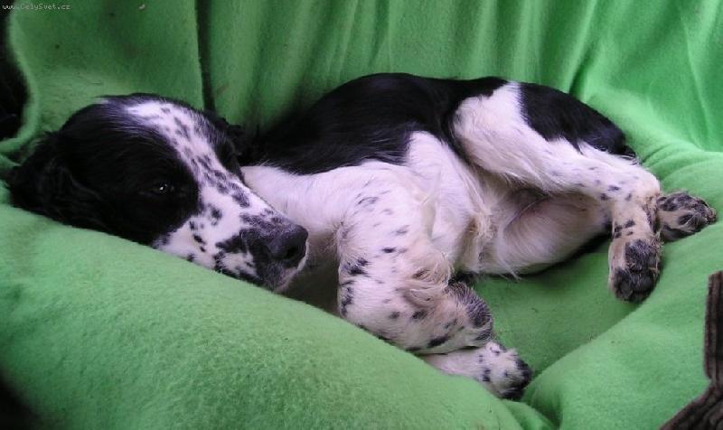 Foto: Betty-Takhle se voz�m :-)