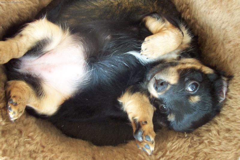 Foto: Am�lka-N� milovan� uli�n�k