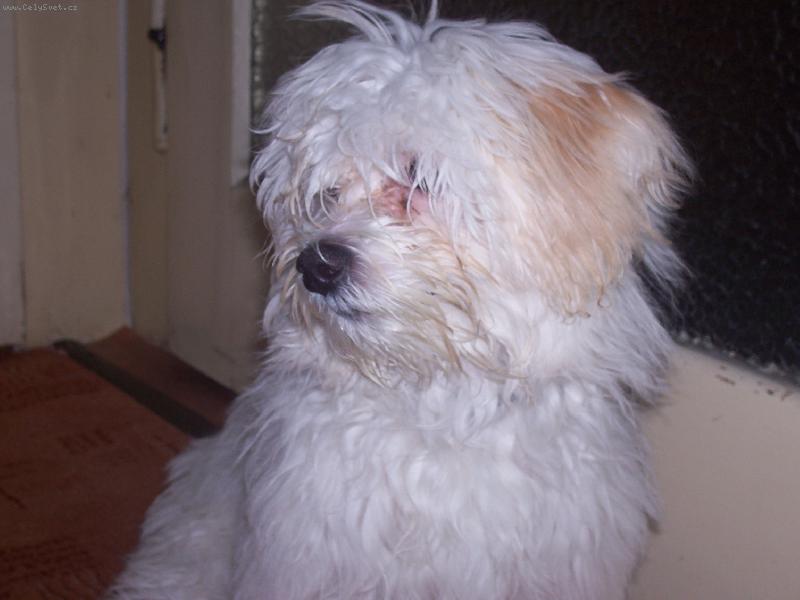 Foto: Time�ek chce ven