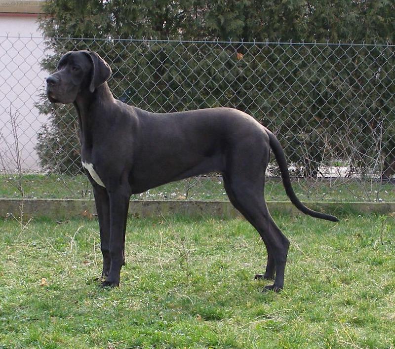 Foto: Dolomita z Pern�t�nsk�ch hradeb-Dolomita 8.m�s�c�