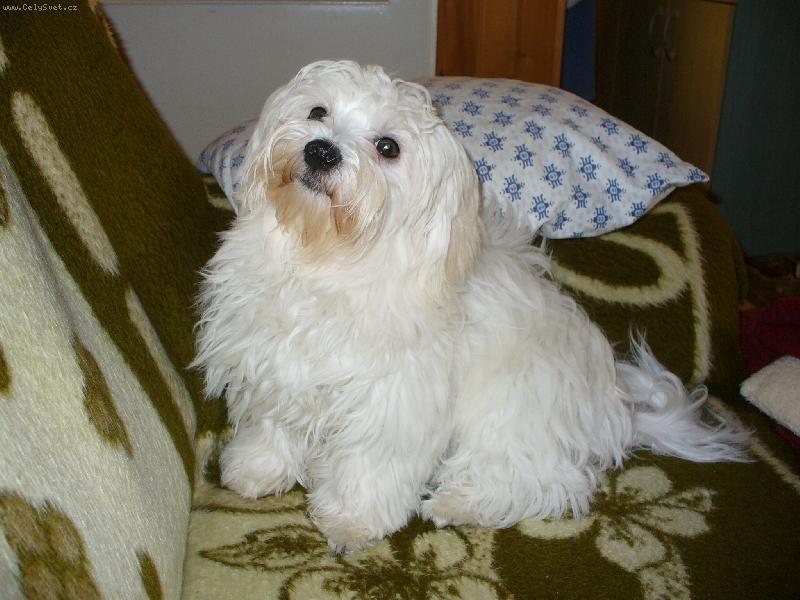 Foto: Ellinka-n� mazel