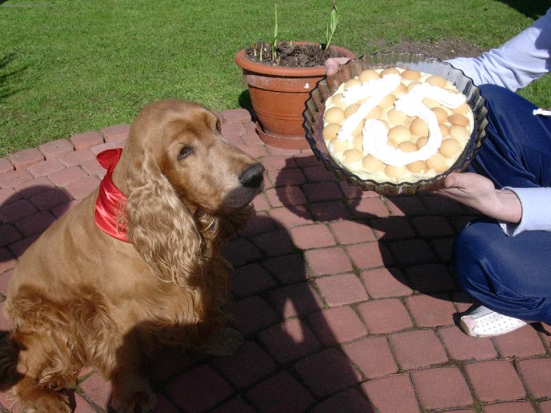 Foto: oslava m�ch 15 narozenin