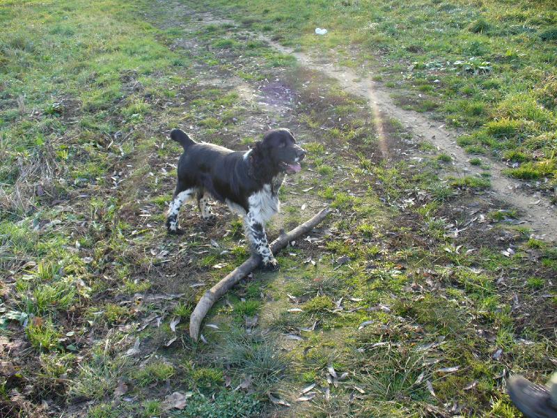 Foto: tenhle aport je m�j!