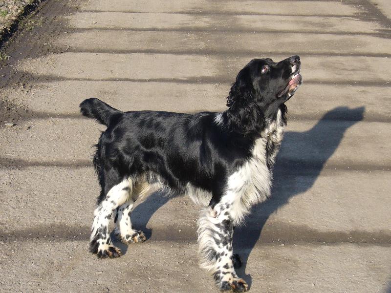 Foto: Benjamin od Kamenn� b�by: \" hod� mi ten aportek?\" :)