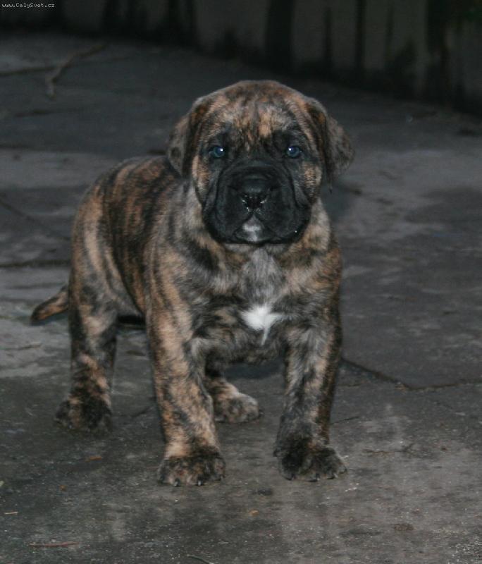 Foto: HIDA Guanchos-/Tahora & Murbo