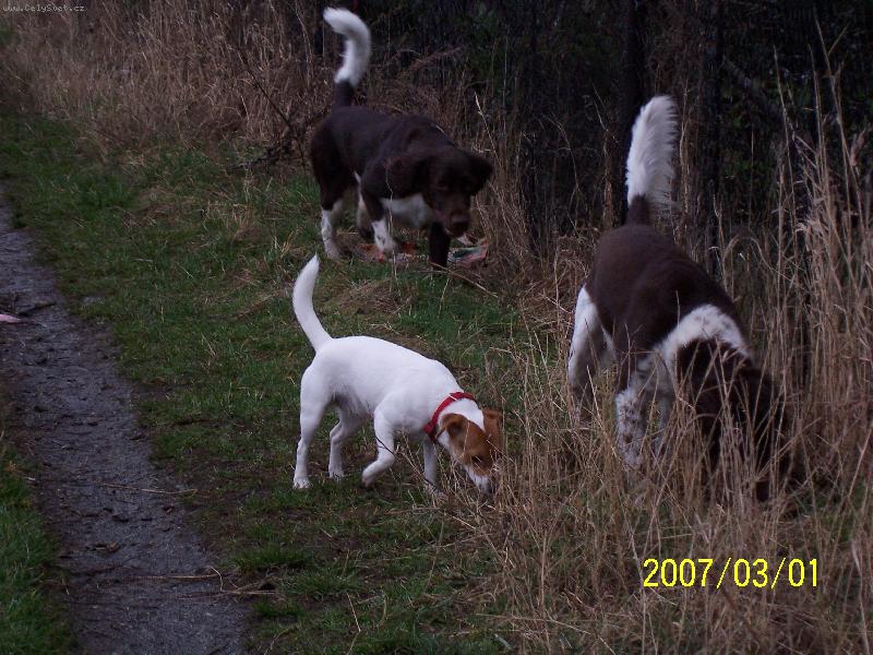 Foto: Kamar�di-Na�e sme�ka na proch�zce