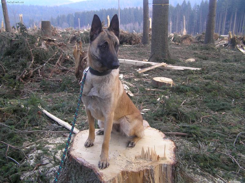 Foto: Ara Nauru-J� kr�sn� sedim, co?