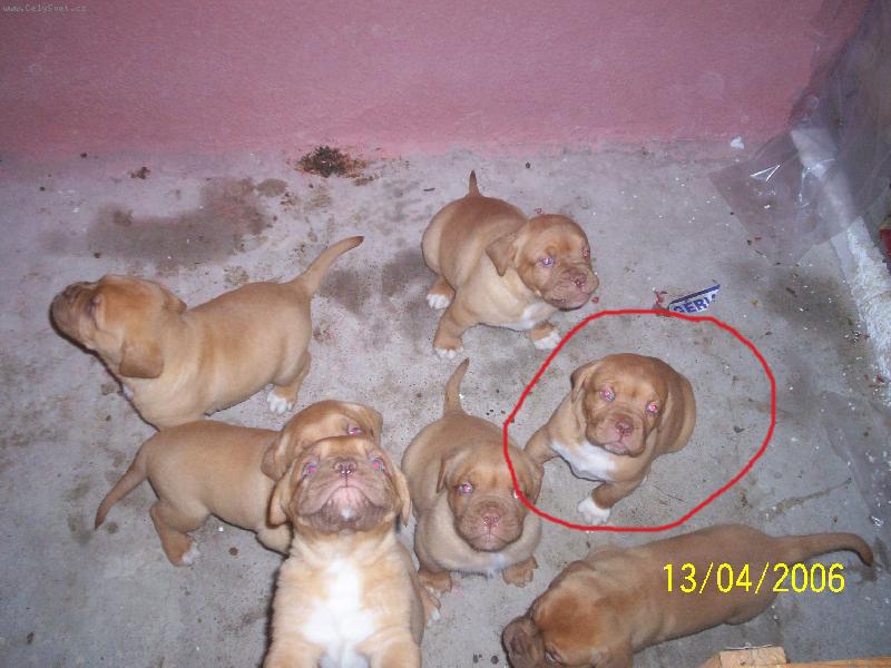 Foto: Gab�k na�el nejsp� sest�i�ku Berrylku-Nen� Berylka n�hodou tohle �t���tko???Ze SR